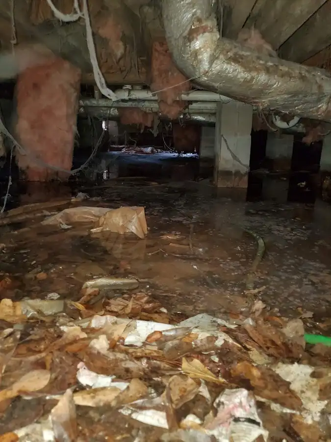 Crawl space flood assessment for Leak Detection & Repair in Salton City